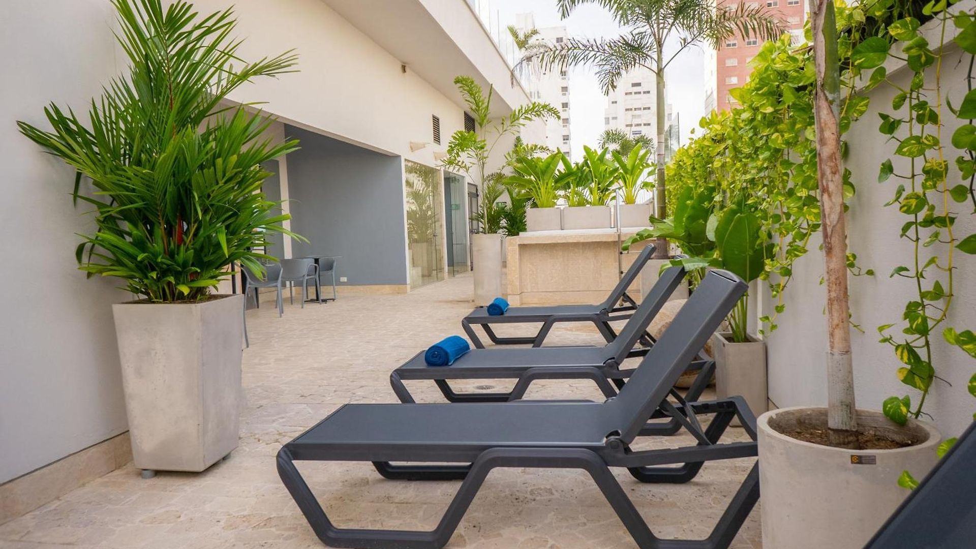 Rilux Cartagena