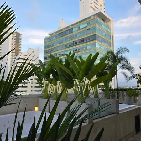 Rilux Cartagena